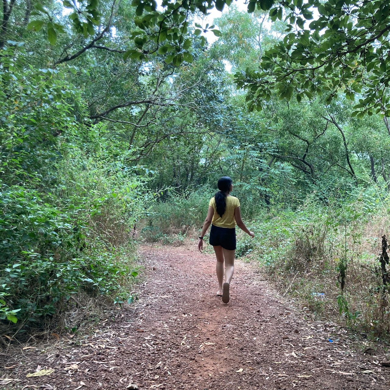 climbing atop, and then walking around the bushes-and-cliffs near, aguada lighthouse.